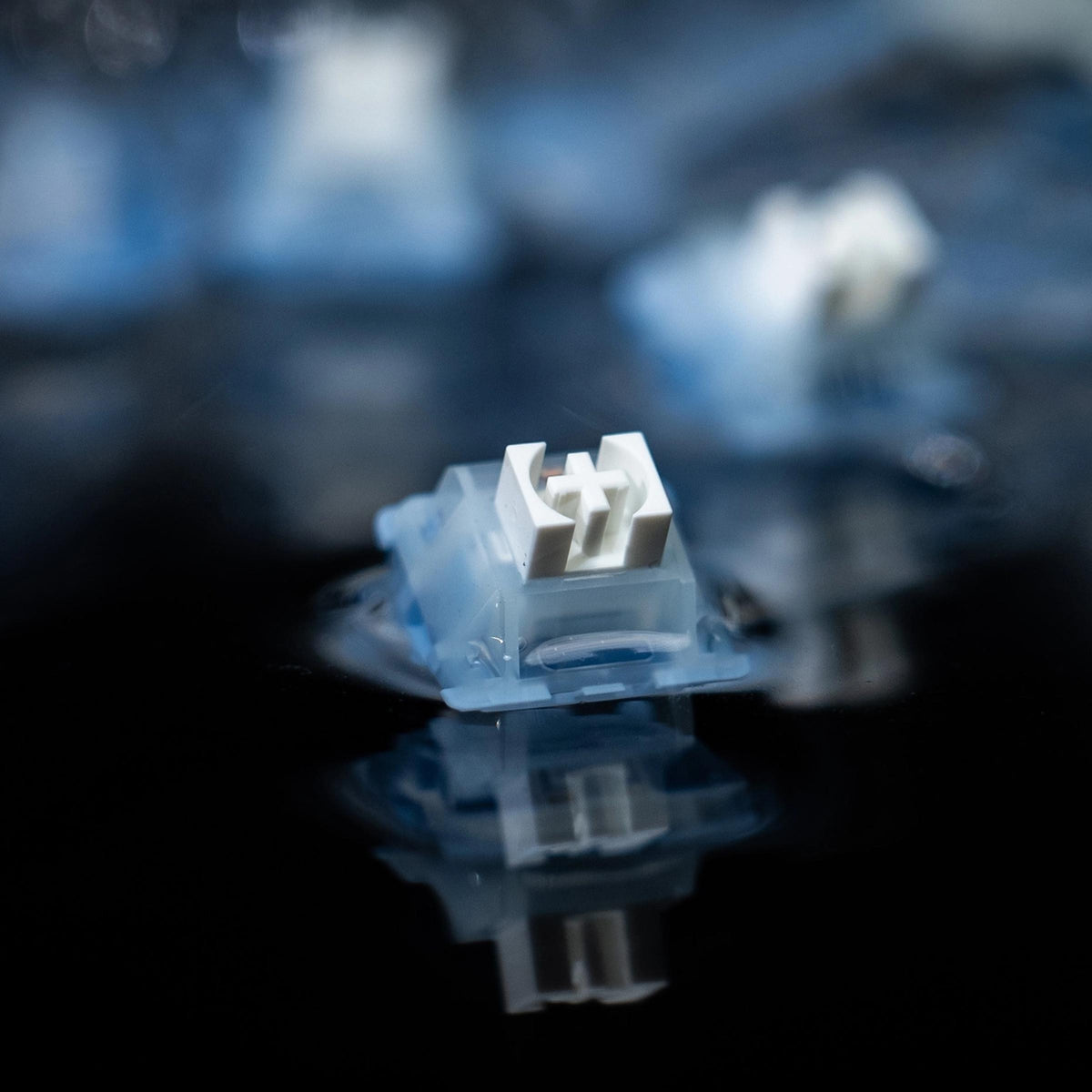Ripple Switches V2