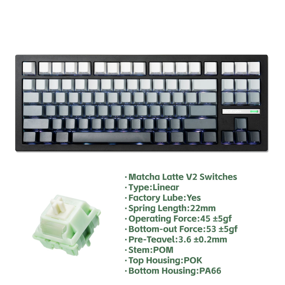 DigAura RX870 Mechanical Keyboard - Matcha Latte V2 switches，87% Layout，TKL，Hot-Swappable，Carbon Black，Gradient Gray Keycaps，White & Gray